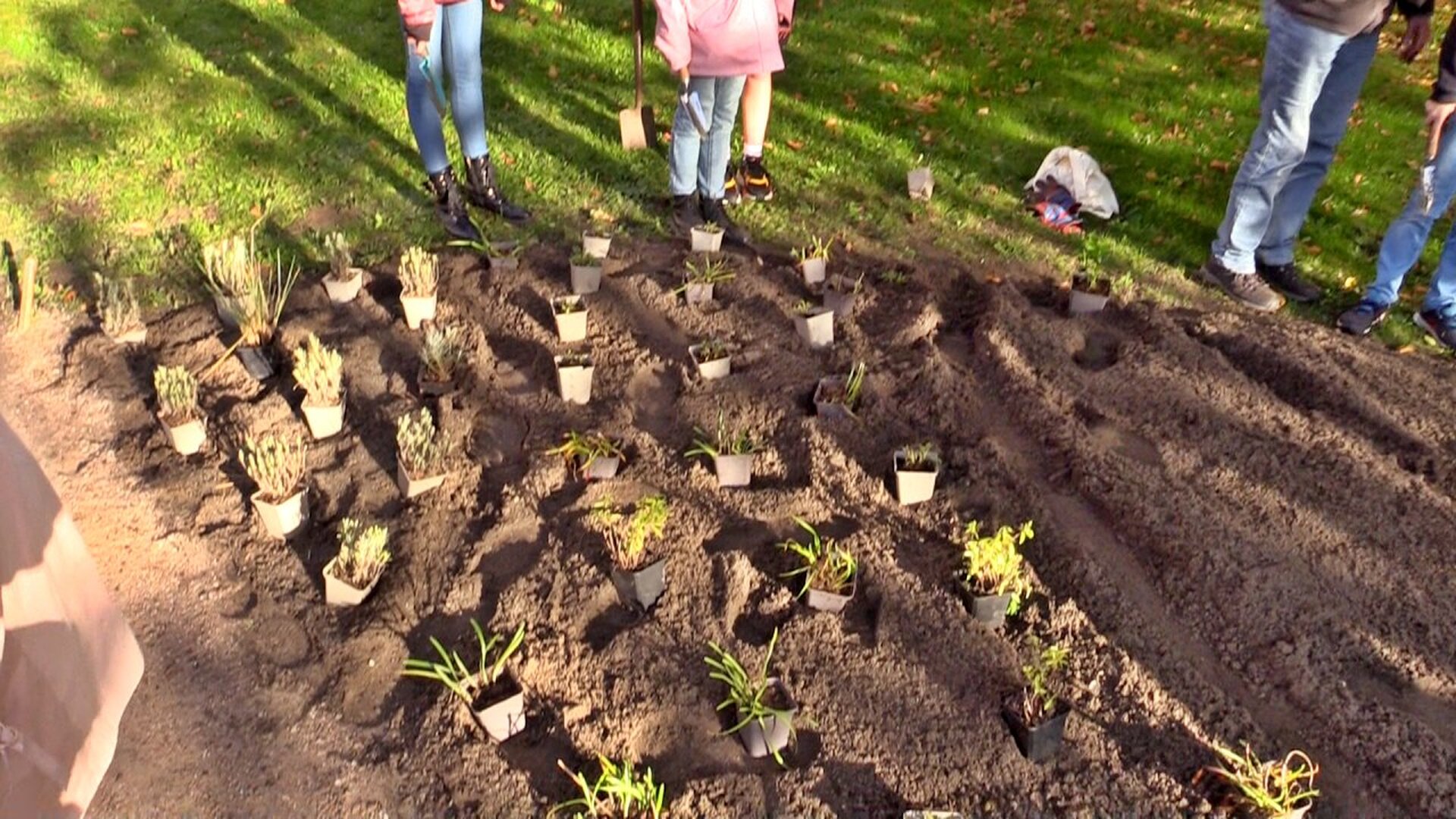Foto: groenspoor-plantestafette-2022-bioborder-1.jpg